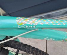 Teenage Girl Liv Enchant Bicycle