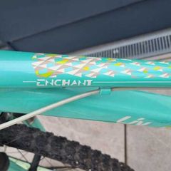 Teenage Girl Liv Enchant Bicycle