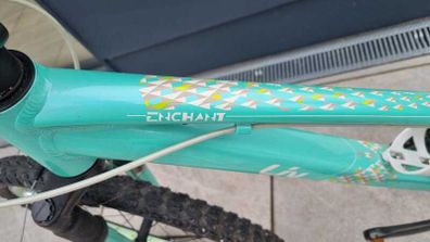 Teenage Girl Liv Enchant Bicycle