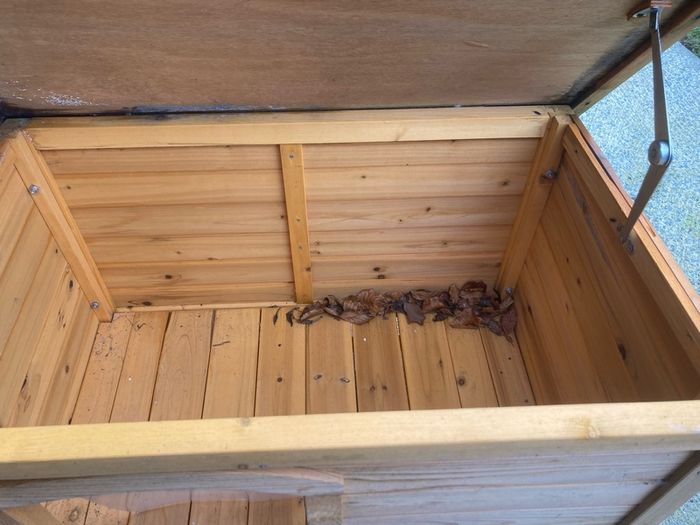 dogs shed
