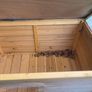 dogs shed Image 2