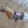 Horse Image 3