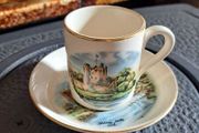 Blarney Castle Cup &amp; Saucer Set
