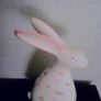 Pair of lovely China Rabbits 7 euro Image 2