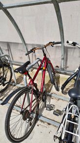 Cycle / Bike
