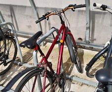 Cycle / Bike