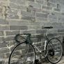 Bianchi Pista Image 3