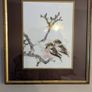 Set of 3 framed bird prints - wildlife art Image 3