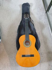 acoustic guitar