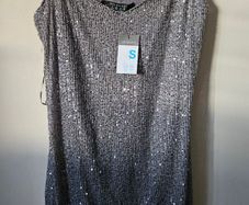 Silver Sequin Dress BNWT