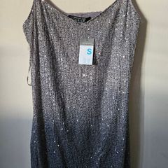 Silver Sequin Dress BNWT