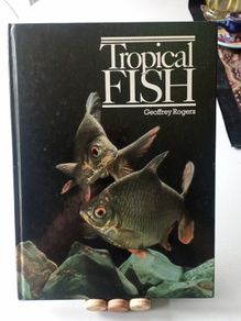 Tropical Fish
