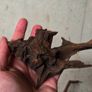Aquarium Driftwood Size Nano Image 3
