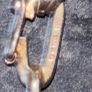 gold bracelet 6.5g vintage 22ct Image 5