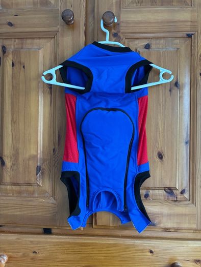 Dog surgery suit