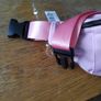 Beltbag Image 7
