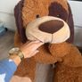 extra large teddy Image 2