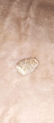 cool rocks