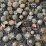 Mixed Random Imperfect Decorative Rhinestone, Pearl & Metal Craft Buttons Image 7