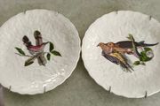 SET OF 2 HANGING PLATE Alfred Meakin Audubon Birds of America Teacup Saucer 5.75 Inches.