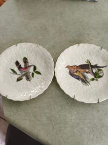 SET OF 2 HANGING PLATE Alfred Meakin Audubon Birds of America Teacup Saucer 5.75 Inches.