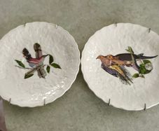 SET OF 2 HANGING PLATE Alfred Meakin Audubon Birds of America Teacup Saucer 5.75 Inches.