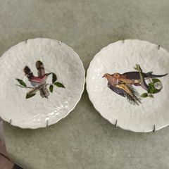 SET OF 2 HANGING PLATE Alfred Meakin Audubon Birds of America Teacup Saucer 5.75 Inches.