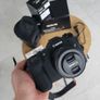 Canon EOS R8 + 50mm 1.8 | Like New (Shutter Count: 1320) + Full Kit Image 4