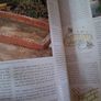Step by Step / Ponds, Pools & Rockeries / 1995 Image 6