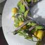 Lemon Door Wreath Image 3