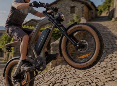 Electric Bike
