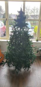 Christmas tree