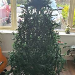 Christmas tree