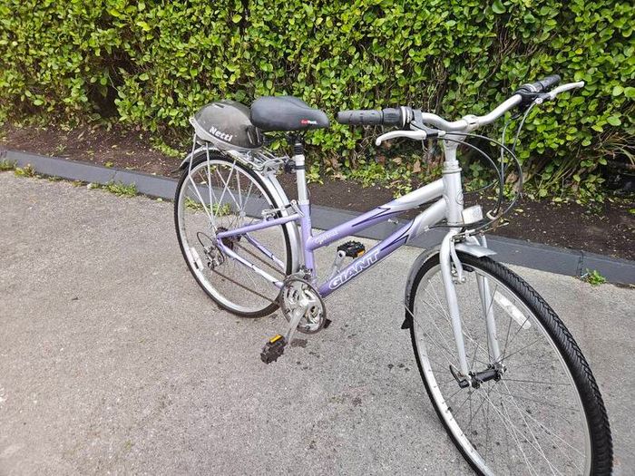 Giant Bike