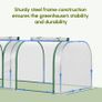 Tunnel Greenhouse Green Grow House Steel Frame for Garden Backyard with Zipper Doors 295x100x80 cm, Clear Image 5