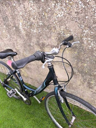 Raleigh Pioneer Metro Ladies Bike