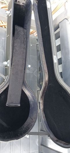 banjo case
