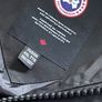 canada goose Image 5