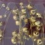 Gold Christmas Garland Image 3