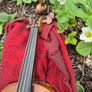 Violin Image 4