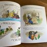 New - Polly Parrot Picks A Pirate Image 3