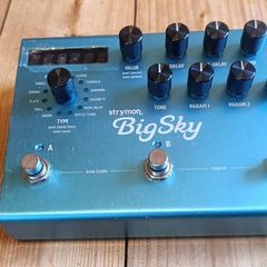 Strymon BigSky