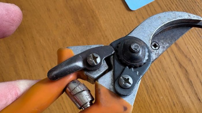 Secateurs