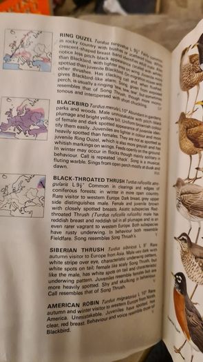 Birds Of Britain And Europe. The Hamlyn Guide. By Bertel Bruun. Illustrated By Arthur Singer. 516 Birds In Colour & 448 Maps. Paperback In FAIR CONDITION. 32..