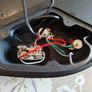 Solar Duncan Alnico 8 pickup set with full harness Image 5