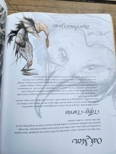 Good Faeries Bad Faeries. By Brian Froud. Edited By  Terri Windling. First Edition Large Volume Paperback In Very Good Condition.