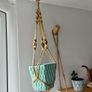 plant hanger and pots Image 2
