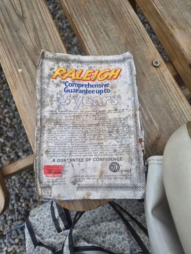 raleigh Saphire