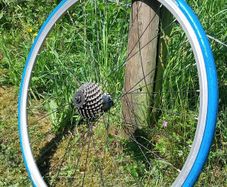Turbo Trainer 700c Wheel