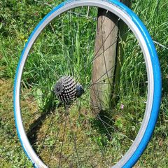 Turbo Trainer 700c Wheel